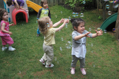 2008-0858
