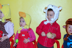 DPP_0005-12-13